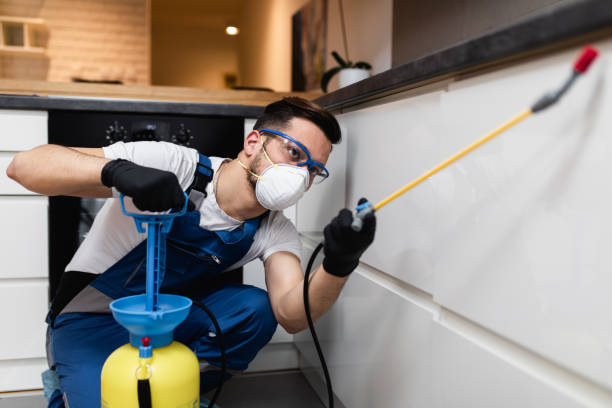 Best Commercial Pest Control Services  in Waynesboro, PA