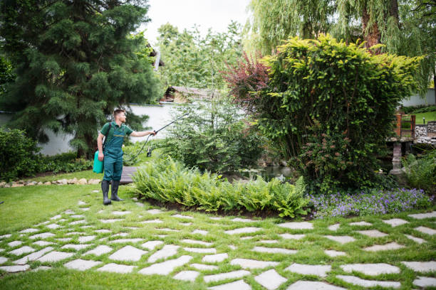 Best Affordable Pest Control Services  in Waynesboro, PA