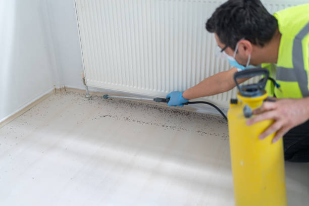 Best Flea Control Services  in Waynesboro, PA