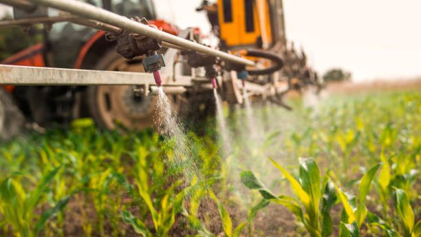 Best Pest Removal Services  in Waynesboro, PA