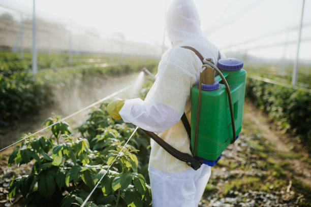 Pest Prevention Services in Waynesboro, PA